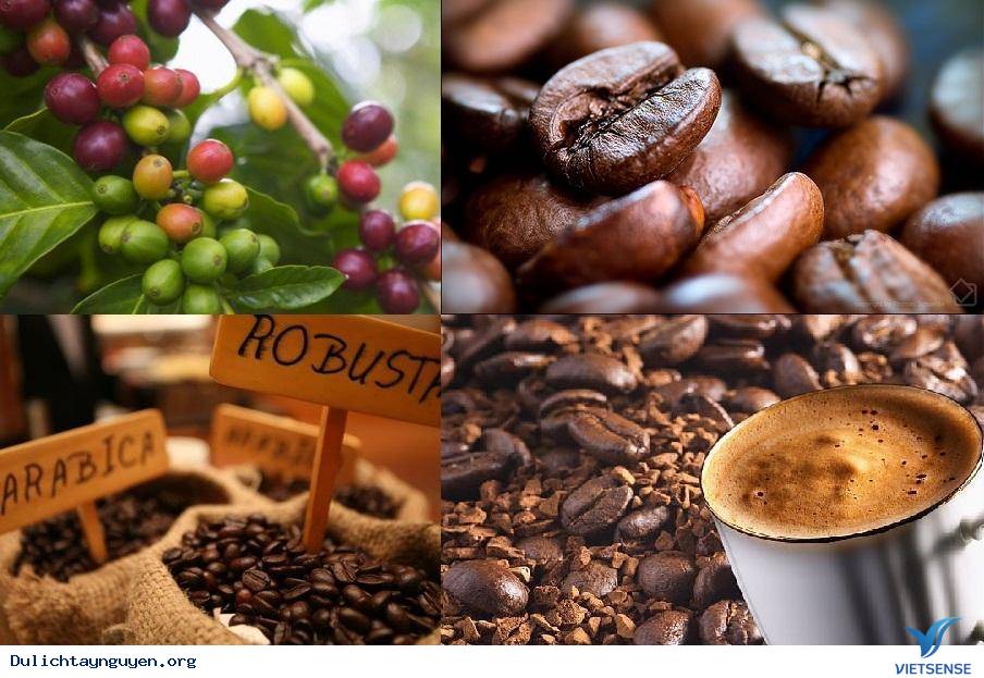 Cà Phê Tây Nguyên